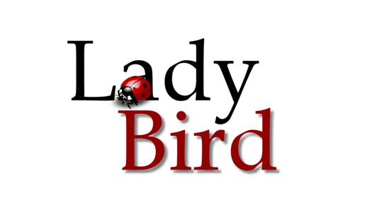 LadyBird MArketing Rendszer